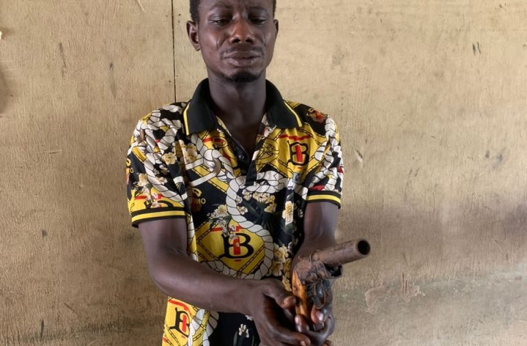 Security arrest notorious cultist terrorising Ogun communities