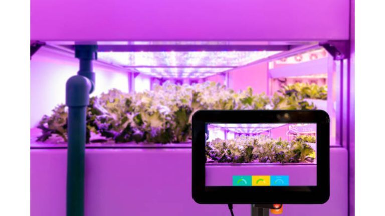 indoor smart garden