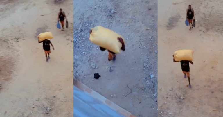 "This semester go stew" — Reactions as a male student arrives his school hostel with a bag of garri (video)