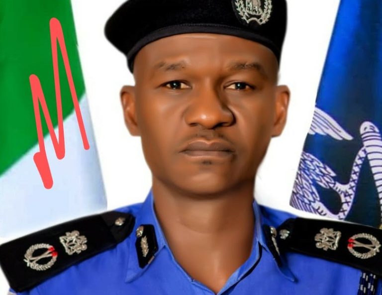 Edo State Commissioner of Police, Mohammed Dankwara