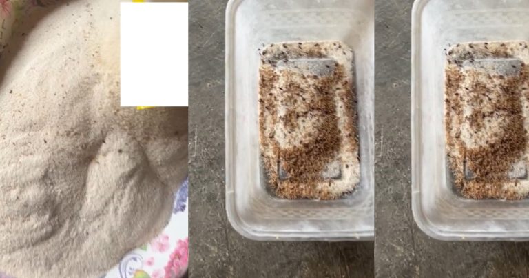 Lady raises alarm after purchasing ant-infested semo at the market (WATCH)