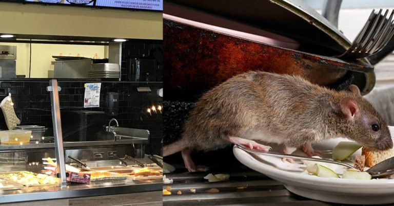 "Na restaurants rats dey live now, as food no dey house again"- Netizens reacts after rat was spotted in a restaurant