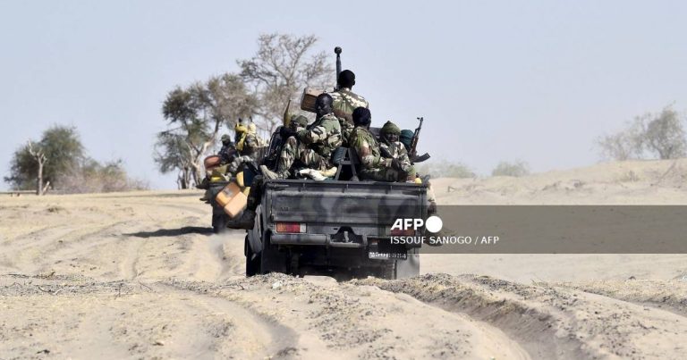 23 Niger Republic soldiers killed in terrorist ambush