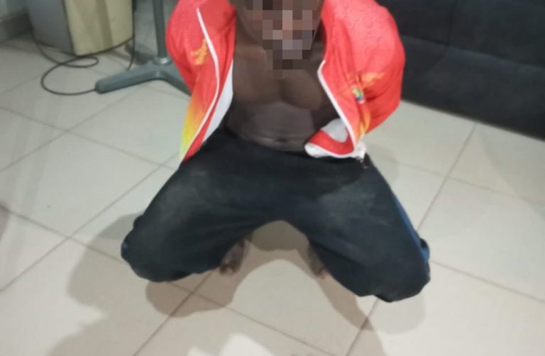 Lagos police arrest man for raping 13-year-old sister 