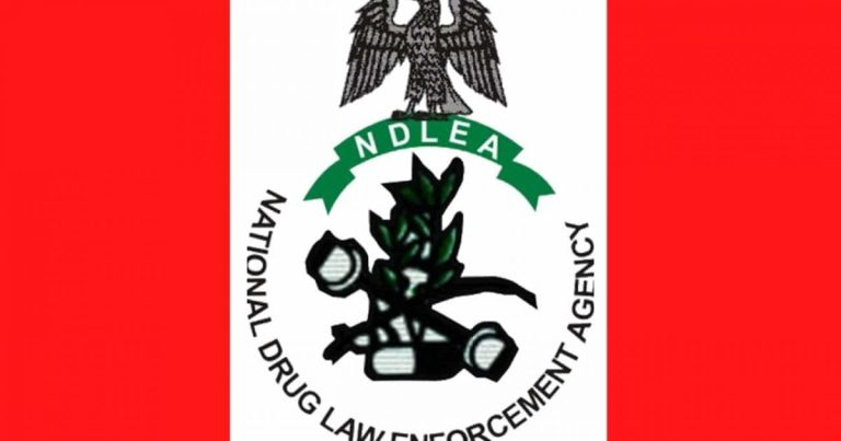 Scammers posing as officers to demand money – NDLEA