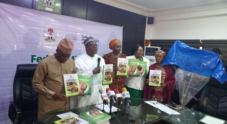 FG plans annual safe maternity scheme for seven million