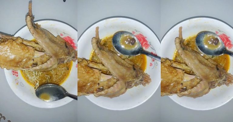 "Locust beans inside pepper soup"- Lady shares review of pepper soup she bought in Ibadan (VIDEO)