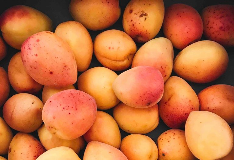 Health benefits of mangoes? See what fruits do to your body