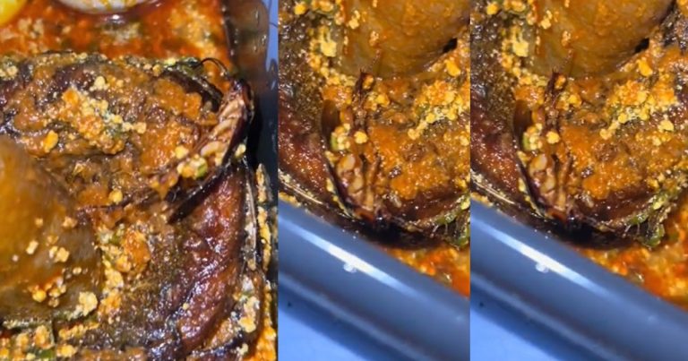 "Na extra meat" – Lady cries out as she discovers cockroach in the food she ordered (VIDEO)