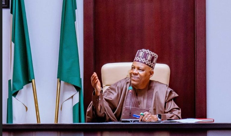 Tinubu's policies averted economic collapse – Shettima