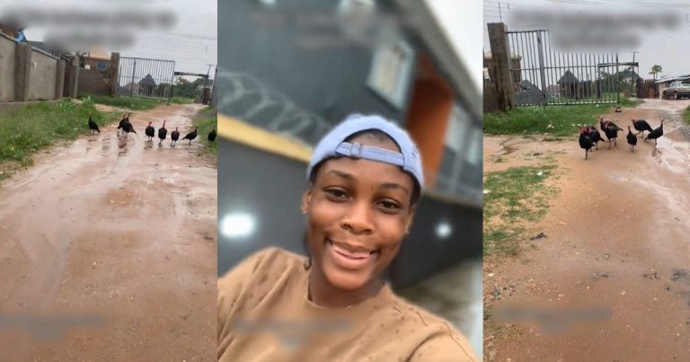 "Why you chop their number one" – Reaction as a group of Turkeys blocks the way of a lady and attempts to chase her (VIDEO)