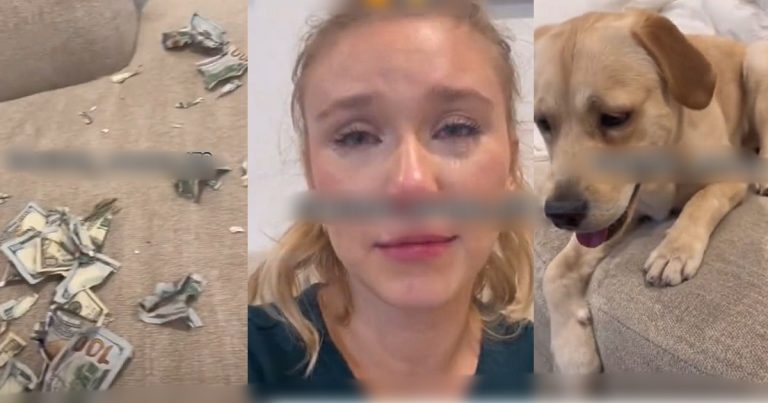  Woman In Tears As Her Innocent-Looking Dog Shreds Her Multiple $100 And $50 Bills (VIDEO)