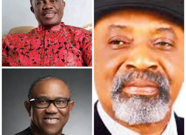 Activist to paste court processes on Ngige, Obi, Obiano’s homes