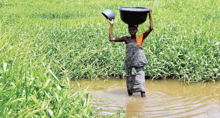 Asa, Ogun community where women travel to neighboring Benin Republic for potable water