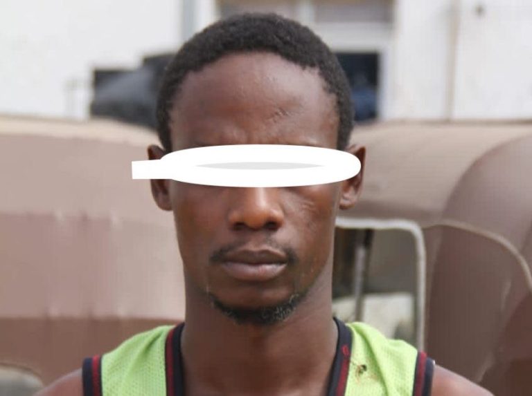 Bauchi police arrest man for N120m fraud