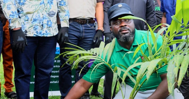 Lagos urges residents to plant trees