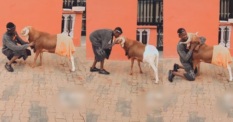 Nigerian Man Bids Emotional Goodbye To His Beloved Pet Ram Ahead Of Eid Kabir Festival (VIDEO)