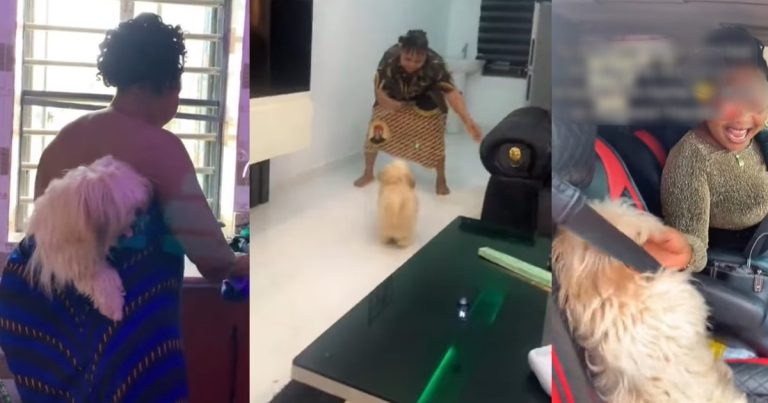 "She needs grandchildren" – Netizens React as Nigerian Woman and Her Pet Dog Display Unconditional Love (VIDEO)