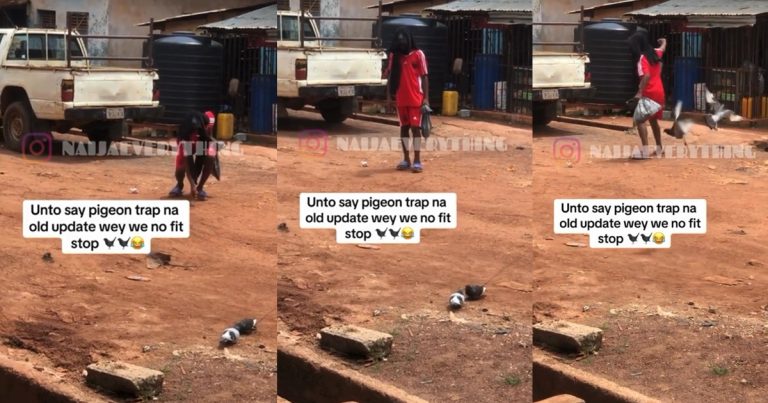 "Why una go dey chop bird, cow meat don finish?" – Netizens react to video of a young man trapp!ng and catch!ng two pigeons with thread