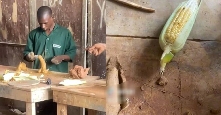 YABATECH Students Captivate Netizens With Creative Corn Molding Assignment (WATCH)