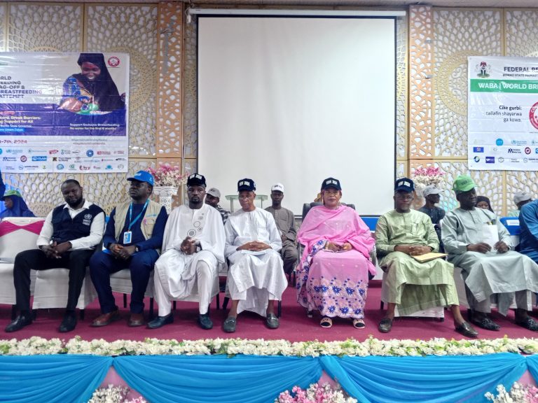 Borno govt, WHO decry gaps in breastfeeding