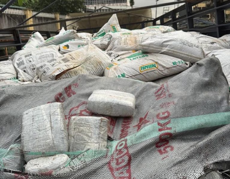 Customs uncover 2,280 wraps of cannabis concealed in sawdust