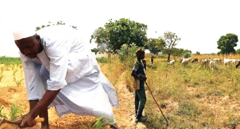 farmer and herder