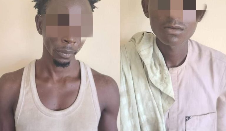 Two suspects arrested for stealing Kano police station sign post