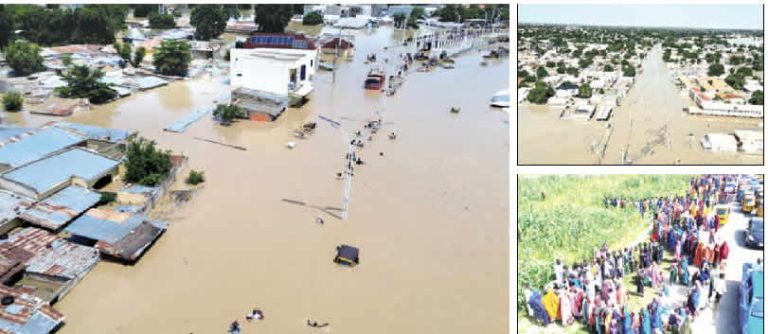 Borno flood