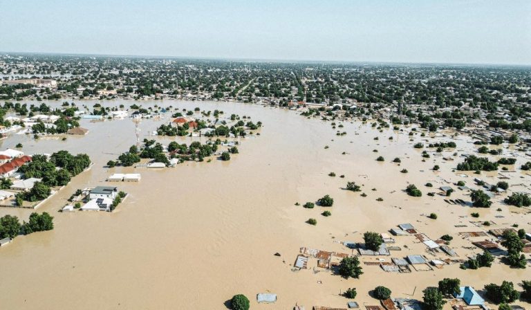 NSCIA seeks help for Borno flood victims