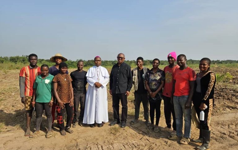 Hunger: Invest in agriculture, Obi urges FG 