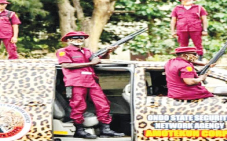 Amotekun commanders meet Makinde, plan enhanced yuletide security across South-West