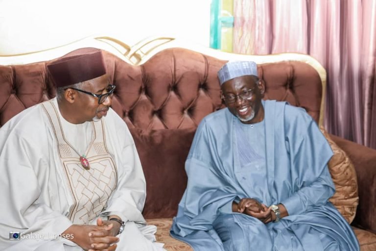 Governor Bala condoles Jigawa gov over mother, son’s demise