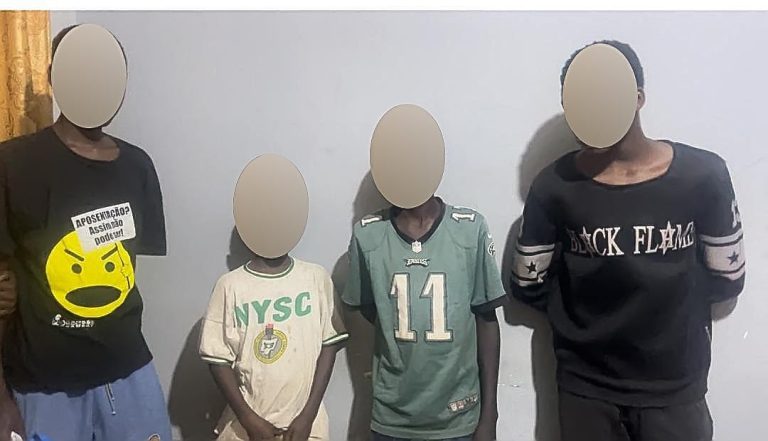 Police arrest four minors for iron rod theft in Abuja