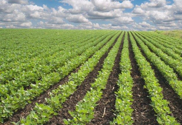 SAA, AFAAS adopt digital innovation to drive agricultural extension transformation