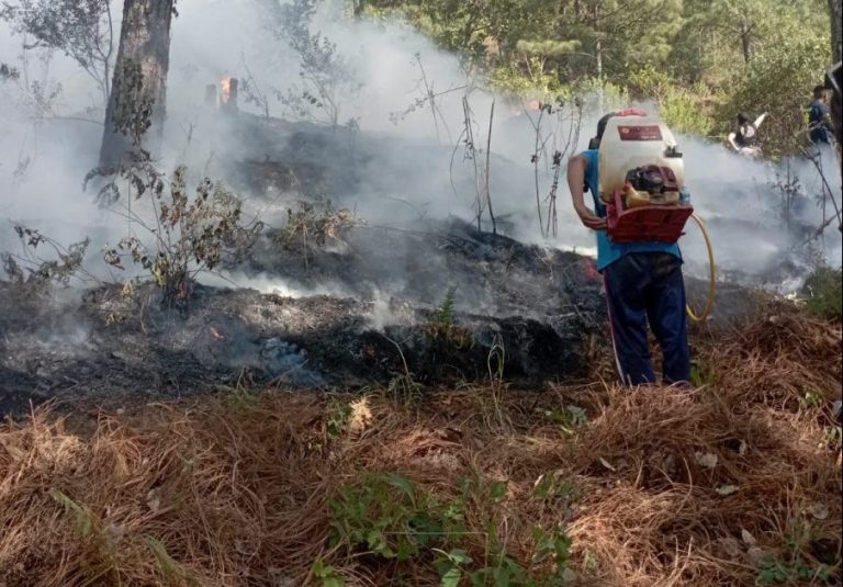 Seven dead in Western Mexico plane crash