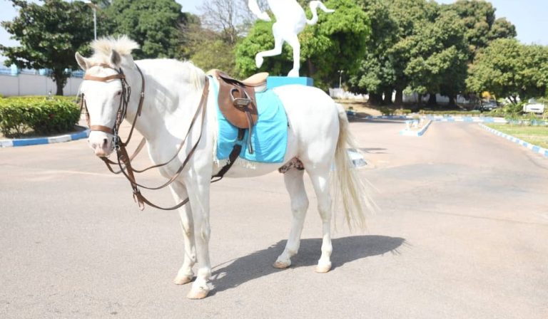 Army holds full military funeral for late mascot horse, Akawala