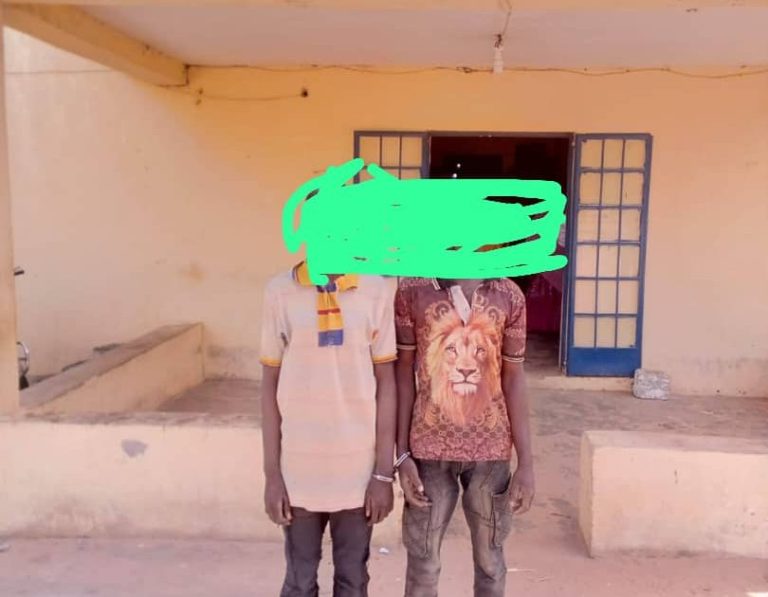 Man stabs elder brother to death in Kebbi