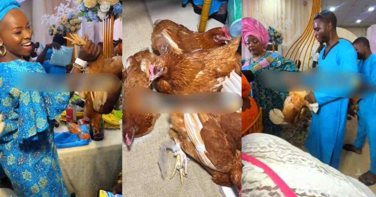 Groom's mum sets a standard, shares live chicken as a souvenir to guests at her son’s wedding (VIDEO)