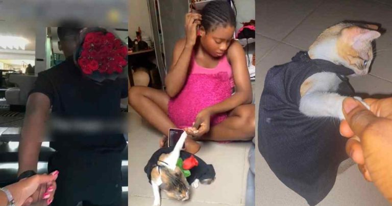Hilarious moment single lady strúggles with her pet cat to recreate a romantic picture (WATCH)