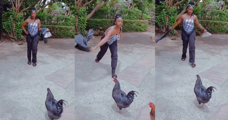 Lady shares her strúggles to take quality pictures in an African home after two cocks disrúpted her video shoot (WATCH)
