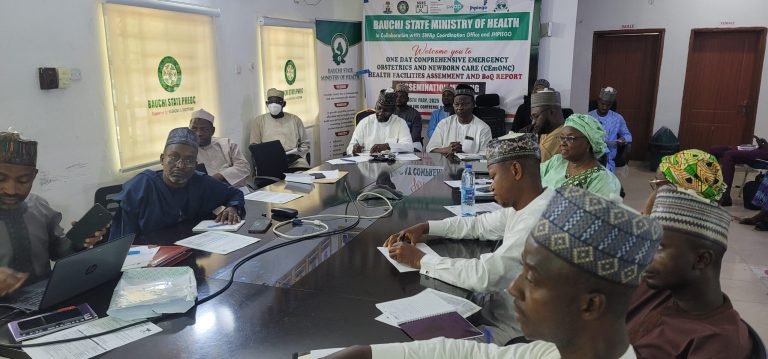 Bauchi commissioner emphasises importance of maternal health