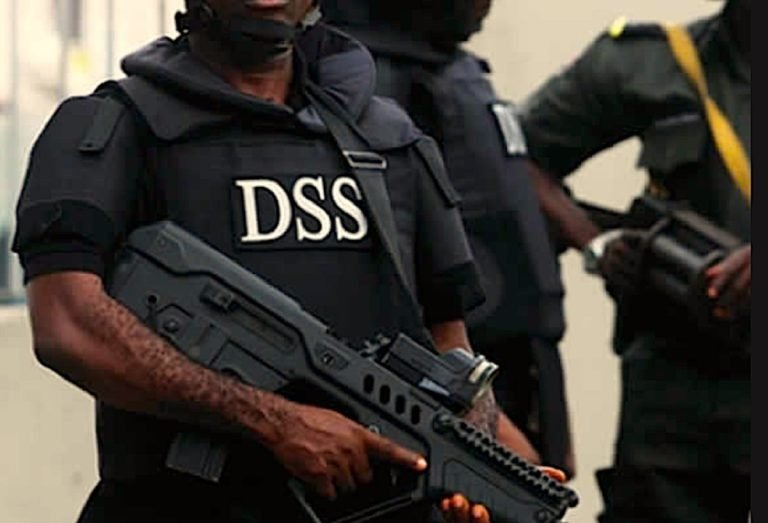 DSS prays court to declare Pat Utomi’s ‘shadow government’ plan an attack on constitution