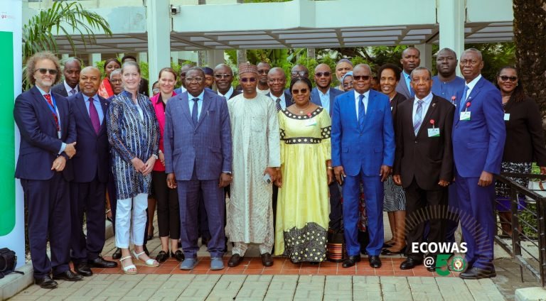 ECOWAS partners Germany, EU to strengthen cyber diplomacy in West Africa