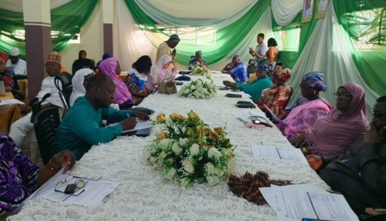 Health experts gather in Ilorin over emergency Obstetric, Neonatal care report