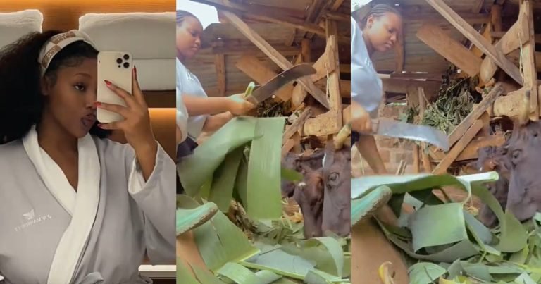 "Just a girl from the village" – Lady says as she compares her university lifestyle to living at home (WATCH)