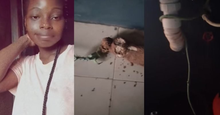 Lady shows what happened to the tuber of yam she left in her kitchen after she travelled for two weeks (WATCH)