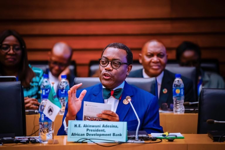 Presidency challenges Adesina’s GDP per capita claims for Nigeria