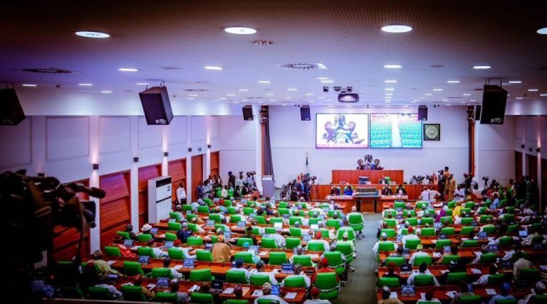 Reps: National Electoral Offences Commission bill passes second reading