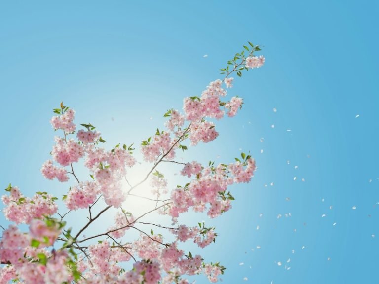 Soak In The Summer Sun Safely With These 4 Simple Strategies For Outdoor Comfort Soak In The Summer Sun Safely With These 4 Simple Strategies For Outdoor Comfort